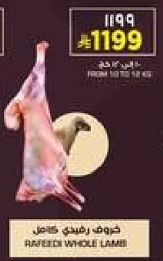 لحم خروف رفيق كامل