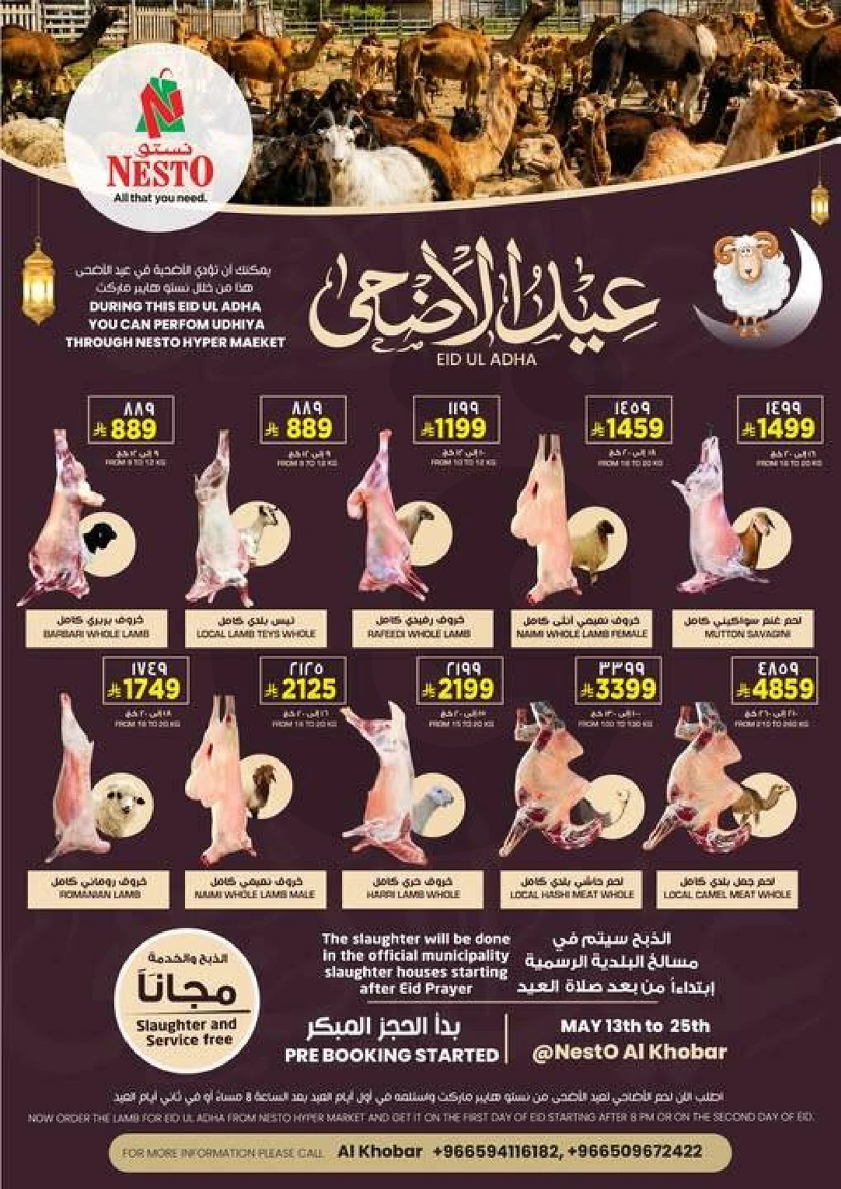 عروض الاضاحي