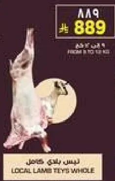 لحم خروف محلي، كامل.