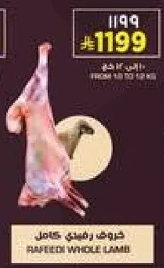 خروف رفيتي كامل