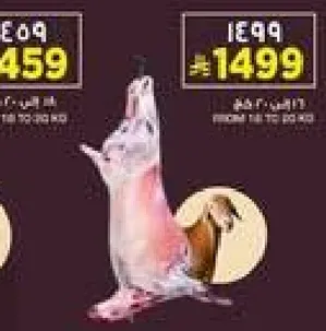 لحم طازج متاح للشراء.