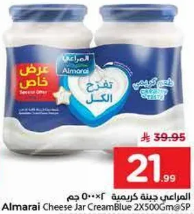 المراعي جبنه كريميه 2×500 جرام