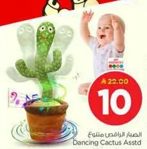 الصبار الراقص متنوع
