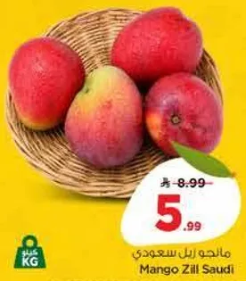 مانجو زيل سعودي