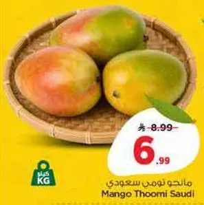 مانجو ثومي سعودي