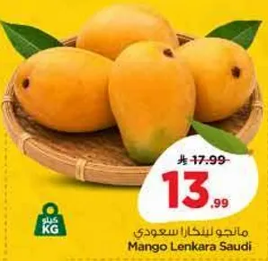 مانجو لنكرا سعودي