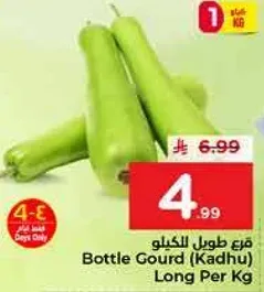قرع طويل الكيلو