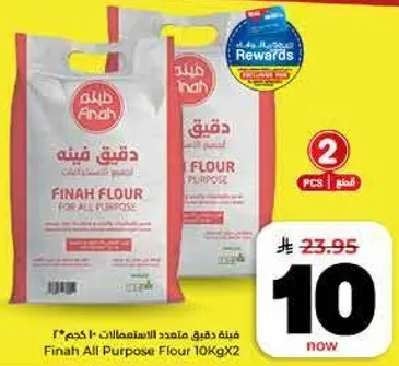 Finah All Purpose Flour 10KgX2
