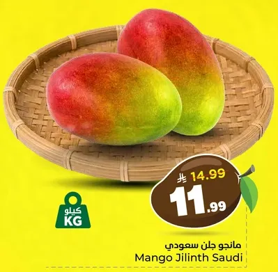 مانجو جلن سعودي