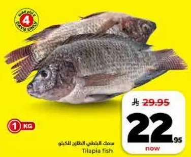 سمك البلطي الطازج الكيلو