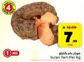 سوران يام بالينغو