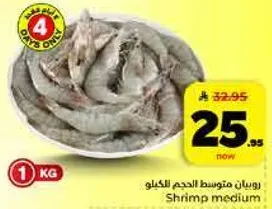 جمبري متوسط الحجم.
