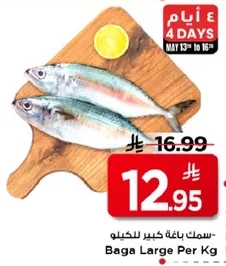 سمك باقه كبير للكيلو