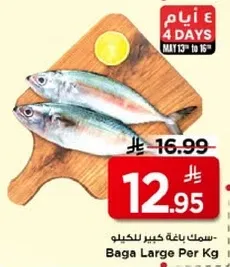 سمك باجه كبير للكيلو.