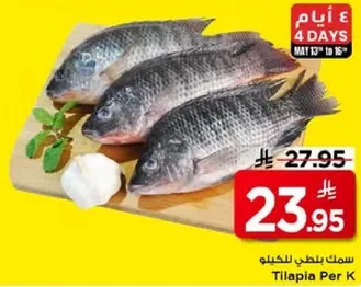 سمك بلطي للحكيل