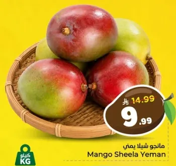 Mango Sheela Yemen