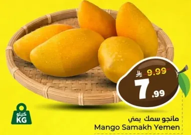 مانجو سمك يمني