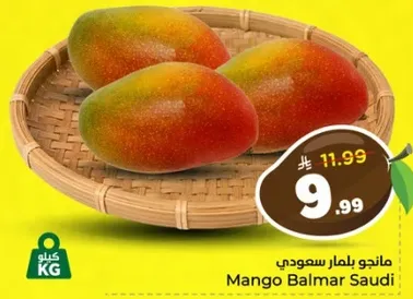 مانجو بالمار سعودي
