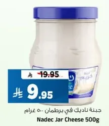 Nadec Jar Cheese 500g