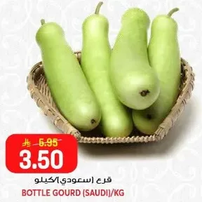 قرع اسعودي/كيلو
