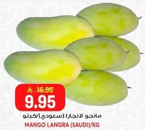مانجو لانجرا (سعودي)/كيلو.