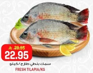 سمك بلطي طازج/كيلو