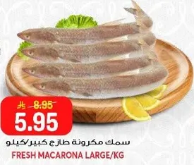 سمك مكرونه طازج كبير/كيلو