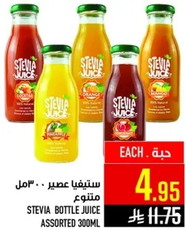 ستيفيا عصير 300 مل متنوع