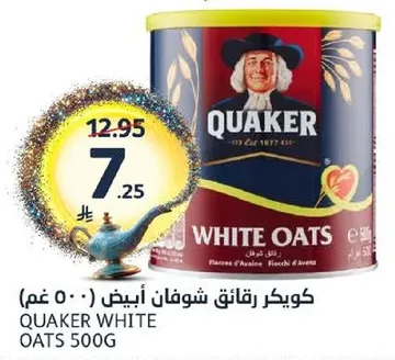 كويكر رقايق شوفان ابيض 500 غم