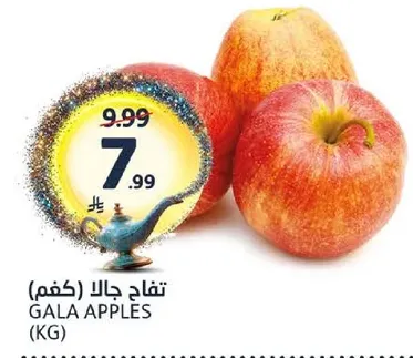 تفاح جالا (كغم)