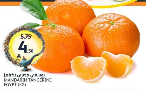 يوسفي مصري (كغم)