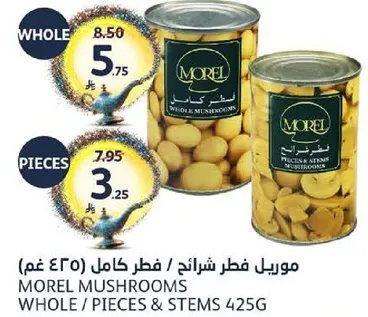 Morel Mushrooms Whole / Pieces & Stems 425g
