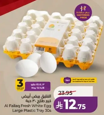 الفيلاق بيض ابيض كبير طازج