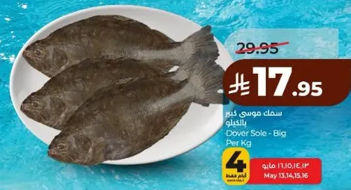 Dover Sole - Big Per Kg