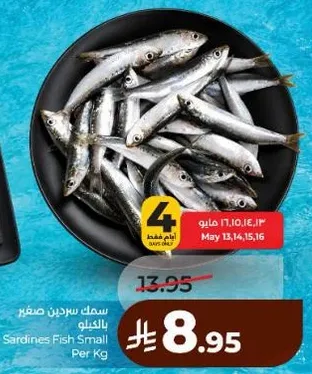 سمك سردين صغير بالكيلو