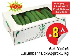 خيار / صندوق تقريبا 3 كغ