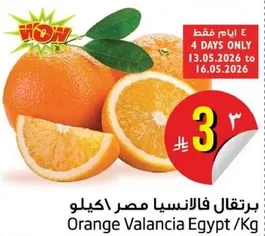 برتقال فالنسيا مصر