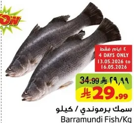 Barramundi Fish/Kg