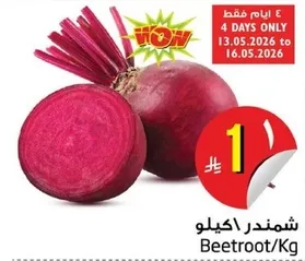شمندر