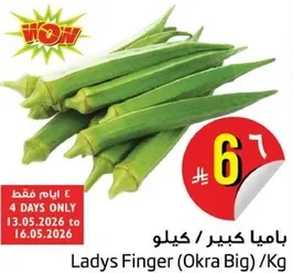 باميا كبيره / كيلو