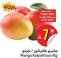Mango Kalpathoor/Kg