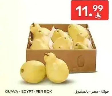 جوافه - مصر - بالصندوق