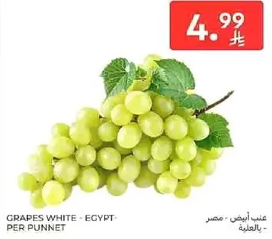 عنب ابيض - مصر - بالعلبه