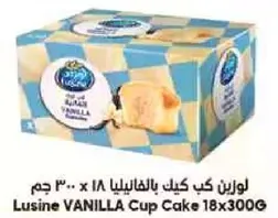 لوزين كيك بالفانيليا 18 x 300 جرام