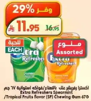 Extra Refreshers Spearmint / Tropical Fruits flavor (SF) Chewing Gum 676g