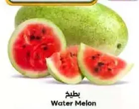 بطيخ
