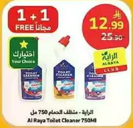 Al Raya Toilet Cleaner 750ml