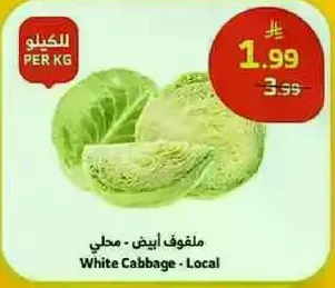 ملفوف ابيض - محلي