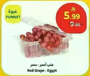 عنب احمر - مصر