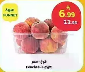 خوخ - مصر